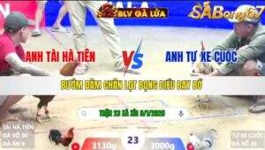 TRẬN 23 XÀ XÍA NGÀY 9/1/2026