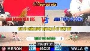 TRẬN 37 CPC3 NGÀY 8/1/2026