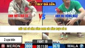 TRẬN 19 CPC2 NGÀY 20/3/2026