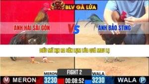 TRẬN 2 CPC2 NGÀY 17/3/2026