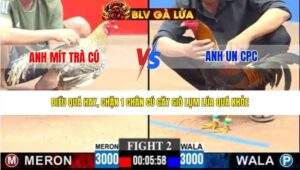 TRẬN 2 CPC3 NGÀY 22/3/2026