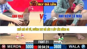 TRẬN 21 CPC2 NGÀY 11/3/2026