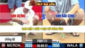 TRẬN 21 CPC2 NGÀY 18/3/2026