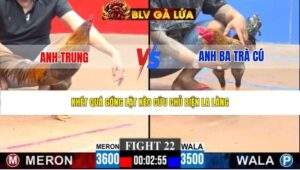 TRẬN 22 CPC3 NGÀY 22/3/2026