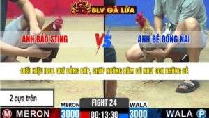 TRẬN 24 CPC2 NGÀY 20/3/2026