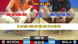 TRẬN 25 CPC2 NGÀY 19/3/2026