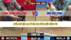 TRẬN 29 CPC2 NGÀY 17/3/2026