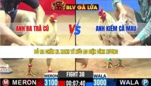 TRẬN 38 CPC2 NGÀY 17/3/2026