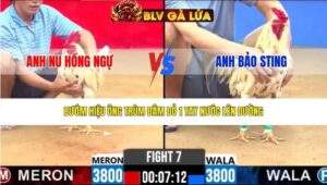 TRẬN 7 CPC2 NGÀY 17/3/2026