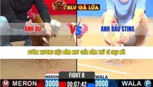 TRẬN 8 CPC2 NGÀY 14/3/2026