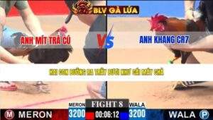 TRẬN 8 CPC3 NGÀY 22/3/2026